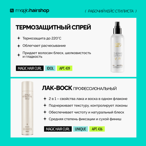 Топ-кейс стилиста (утюг 755)